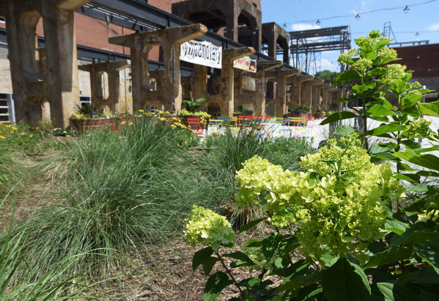 Bailey Power Plant garden